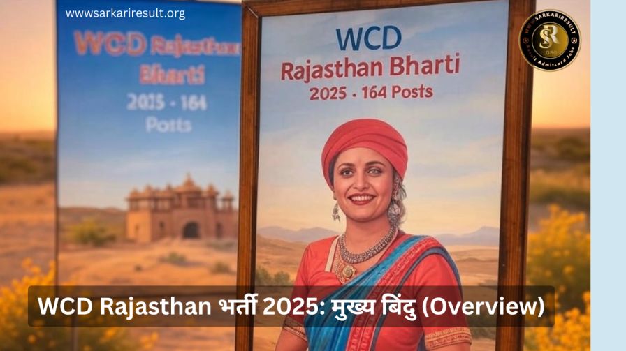 WCD Rajasthan Bharti 2025 164 Posts Overview